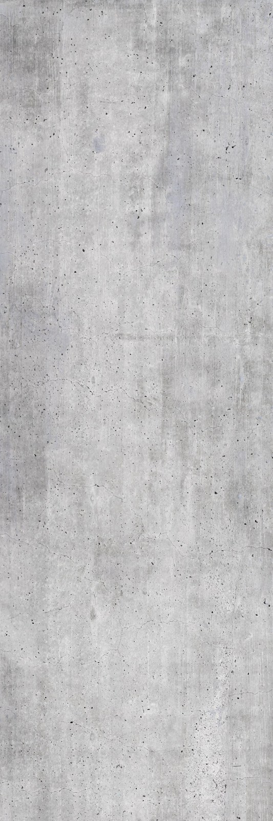 Béton lisse · Gris nature